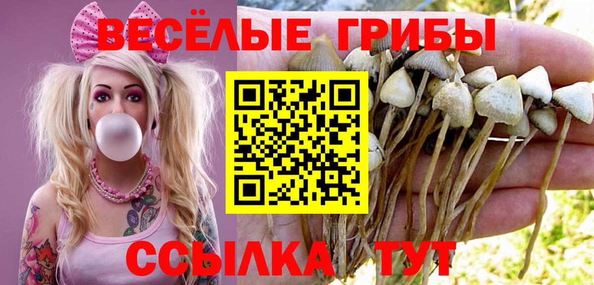 Петрозаводск  Псилоцибиновые грибы ЛСД  Вход с VPN 