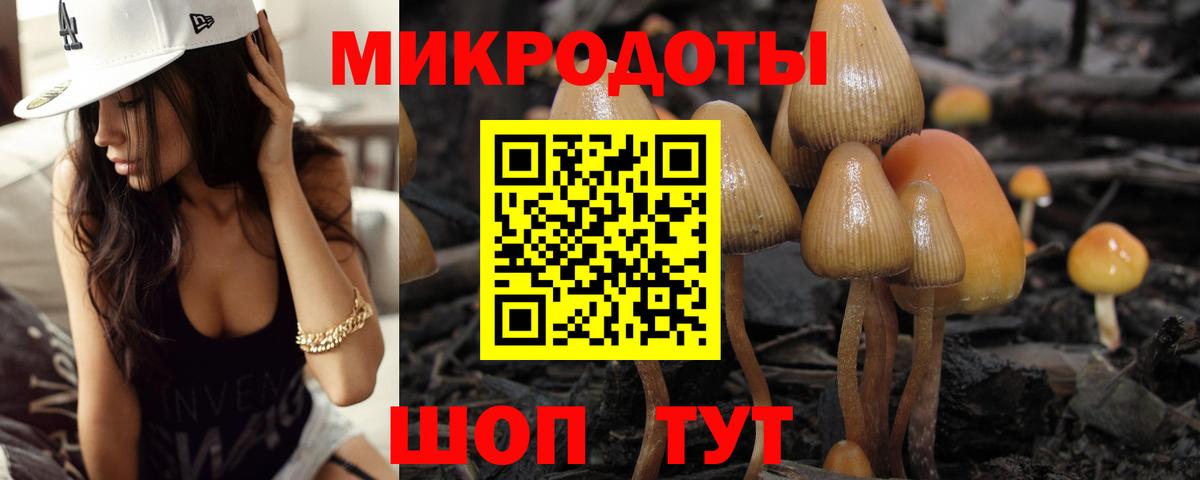 Галлюциногенные грибы Cubensis Петрозаводск